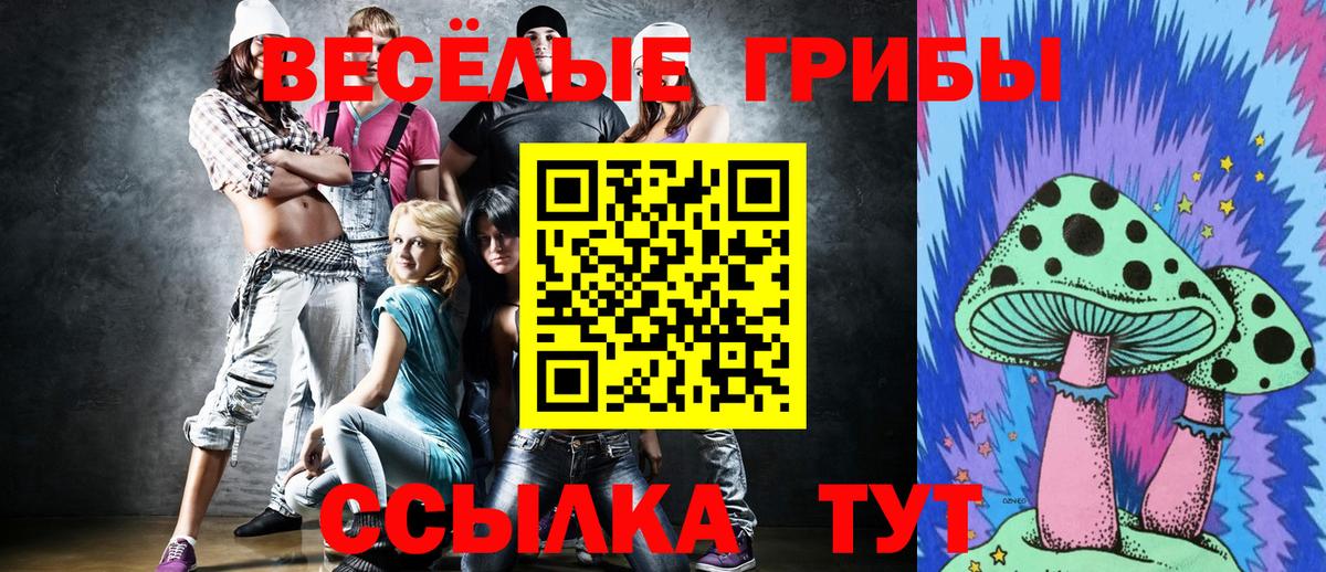 Сосновоборск  Галлюциногенные грибы GOLDEN TEACHER  Вход с VPN 